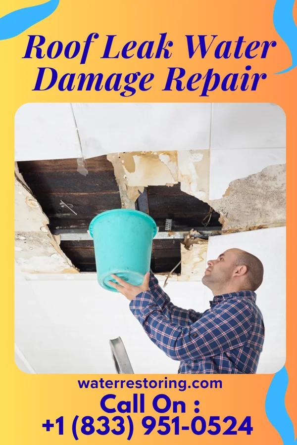 Roof Leak Water Damage Repair in Dodson Branch, TN