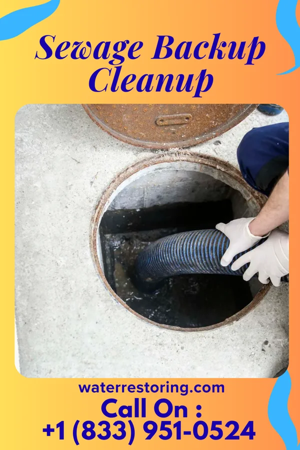 Sewage Backup Cleanup in Dodson Branch, TN